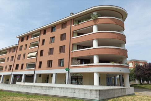 rossomattonecase_mono.conco1