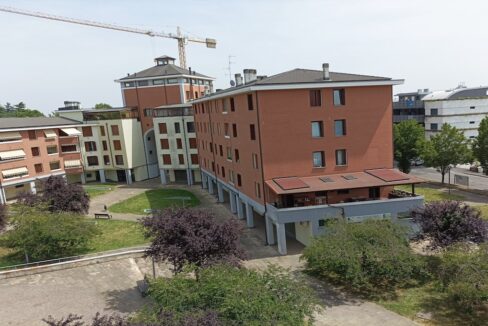 rossomattonecase_mono.conco5