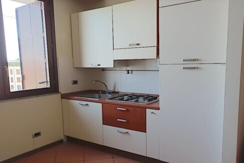 rossomattonecase_mono.conco.k